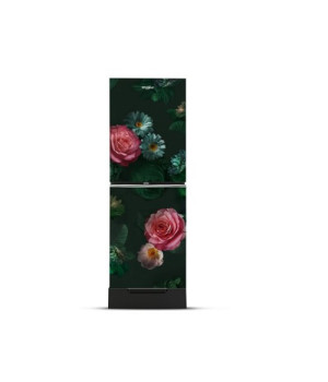 Whirlpool Fresh Magic Pro 257L Rosalia Refrigerator