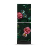 Whirlpool Fresh Magic Pro 278L Rosalia Refrigerator